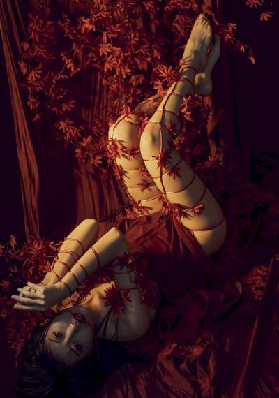 粉红大白菜_成人直接看